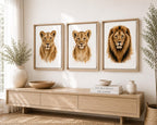 Three framed watercolor animal portraits of a lion cub and two adult lions hanging on a light wall above a wooden console table in a styled room.
