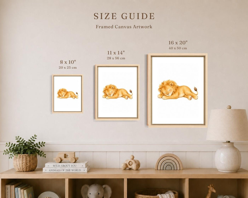 A size guide graphic showing three framed canvas prints of a sleeping lion in different sizes (8 x 10 inches, 11 x 14 inches, 16 x 20 inches) mounted on a beige wall above a wooden shelf with home decor.
