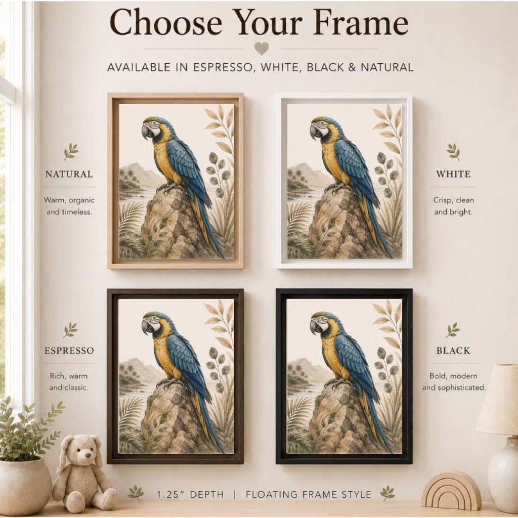 Blue & Gold Macaw Tropical Framed Canvas
