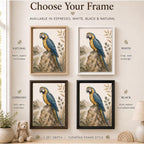 Blue & Gold Macaw Tropical Framed Canvas