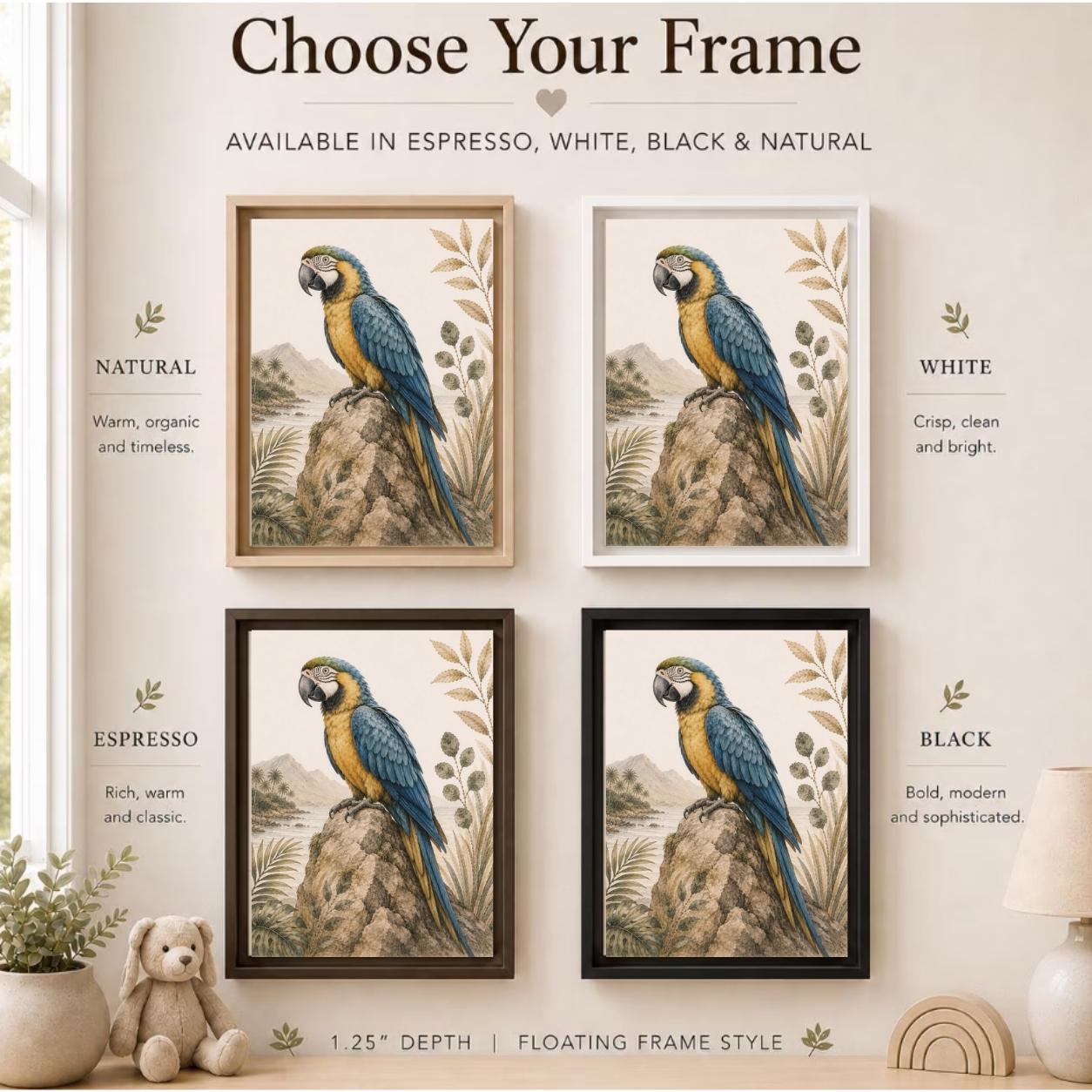 Blue & Gold Macaw Tropical Framed Canvas