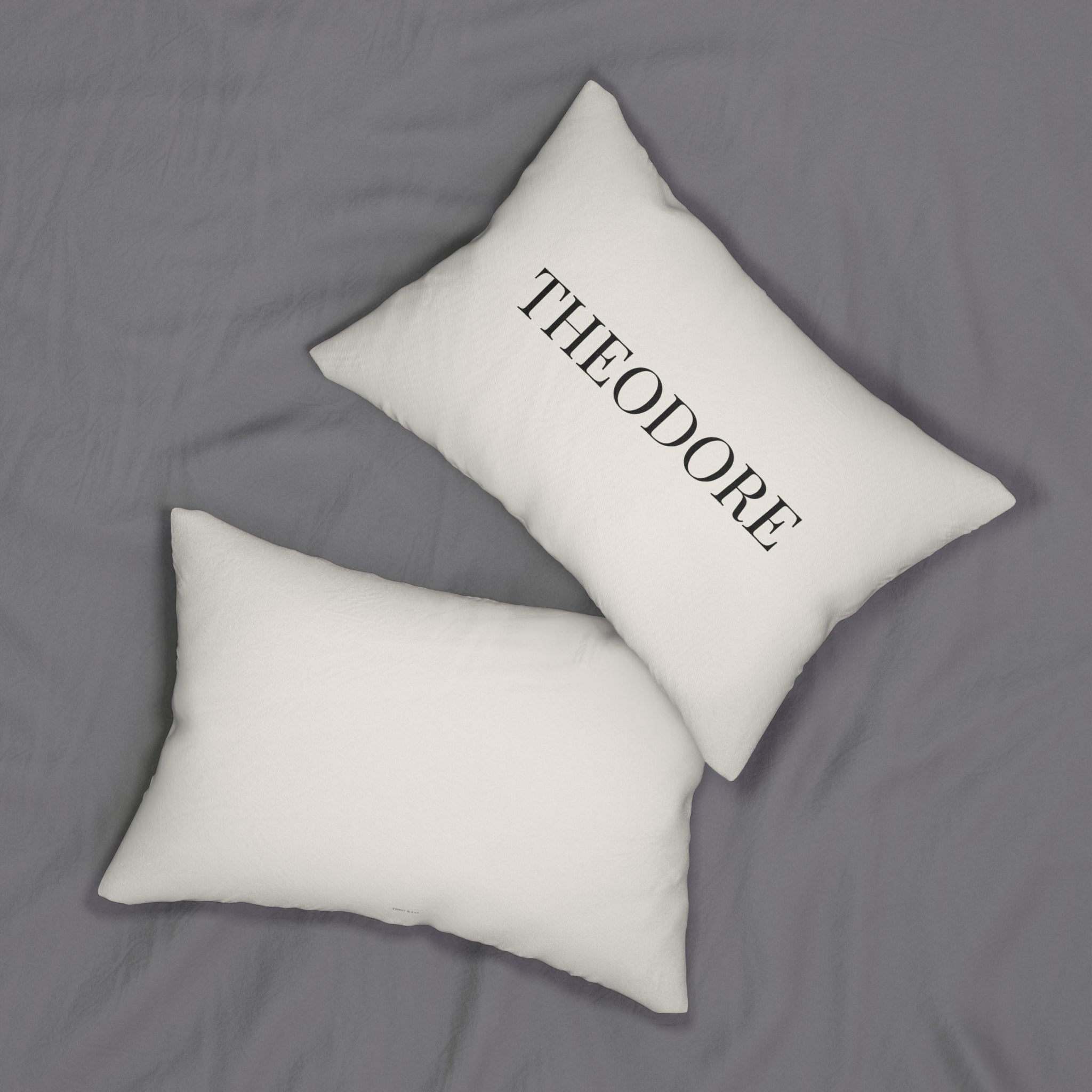 Two white rectangular throw pillows on a gray bedspread, with one pillow featuring the name 'THEODORE' printed in black serif lettering.