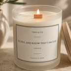 A lit jar candle with a wooden wick and cream-colored wax in a frosted glass container. The front label reads 'THEO & CO.